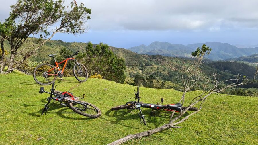 Camacha: Levada Trail e-Bike Guided Tour - Price and Value at $82 per Person (What You’re Actually Buying)