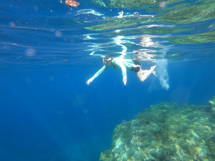 Câmara de Lobos: Private Guided Kayaking Tour in Madeira - A Practical Day Plan Around This Kayak Tour
