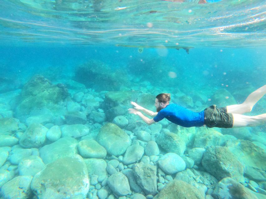 Câmara de Lobos: Private Guided Kayaking Tour in Madeira - Should You Book This Câmara de Lobos Private Kayaking Tour?
