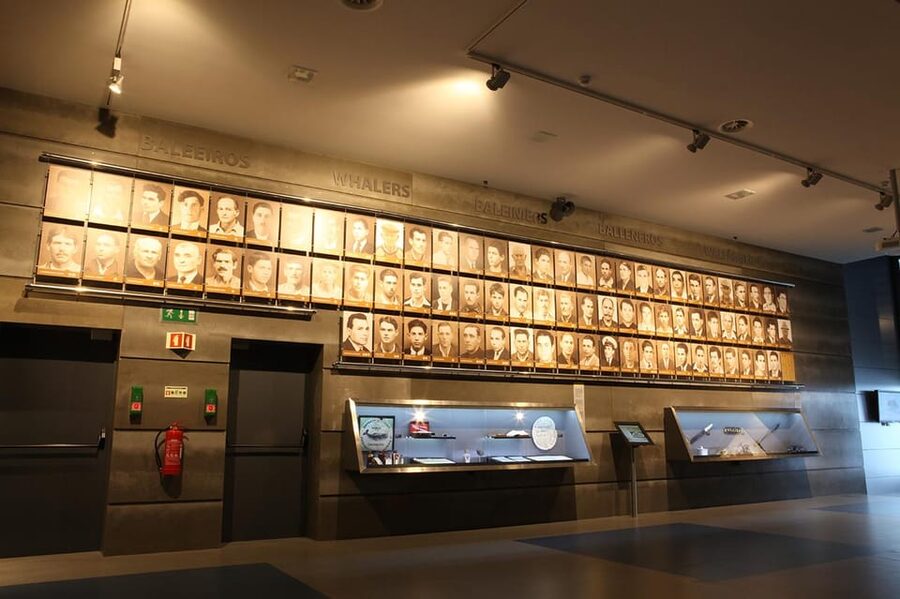 Caniçal : Madeira Whale Museum Entry ticket - The whaling legacy in Madeira waters, told through artifacts