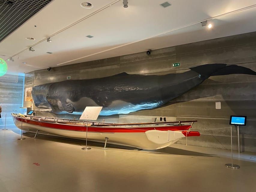 Caniçal : Madeira Whale Museum Entry ticket - Ethnography meets science: conservation work you can actually see