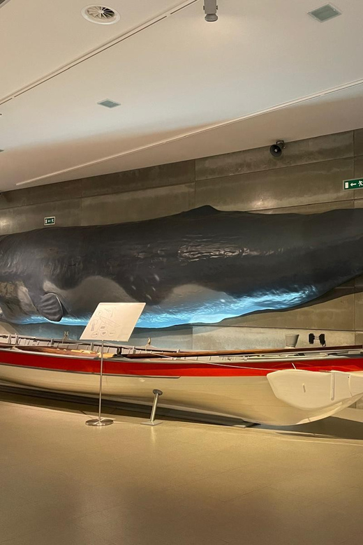 Caniçal : Madeira Whale Museum Entry ticket - Temporary exhibition: the small wildcard that adds freshness