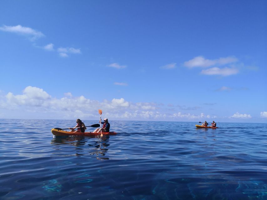 Caniço, Madeira: Marine Reserve Kayak & Snorkelling Tour - Who this Caniço kayak and snorkel tour is best for