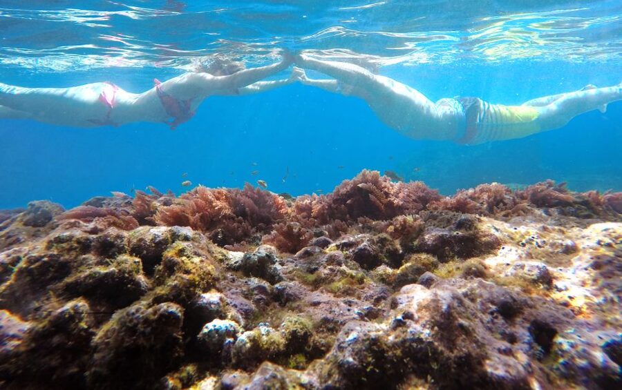 Caniço, Madeira: Marine Reserve Kayak & Snorkelling Tour - The 2-hour flow: kayak first, snorkel after