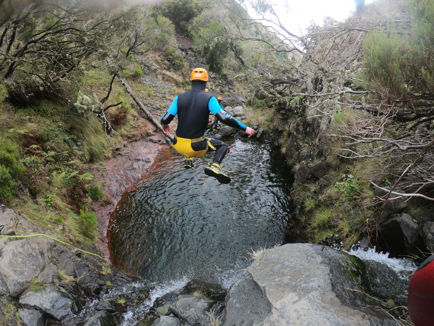 Canyoning in Madeira: Ideal for First-Timers and Families - Laurissilva Forest first: why the UNESCO walk sets your mindset