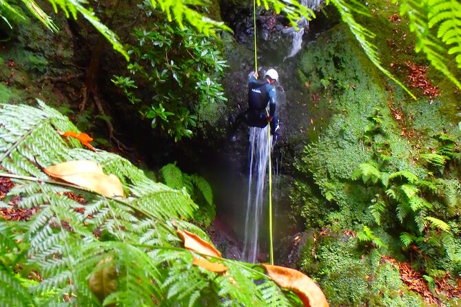 Canyoning Madeira Island - Level One - Guides, first-timers, and families: how confidence gets handled