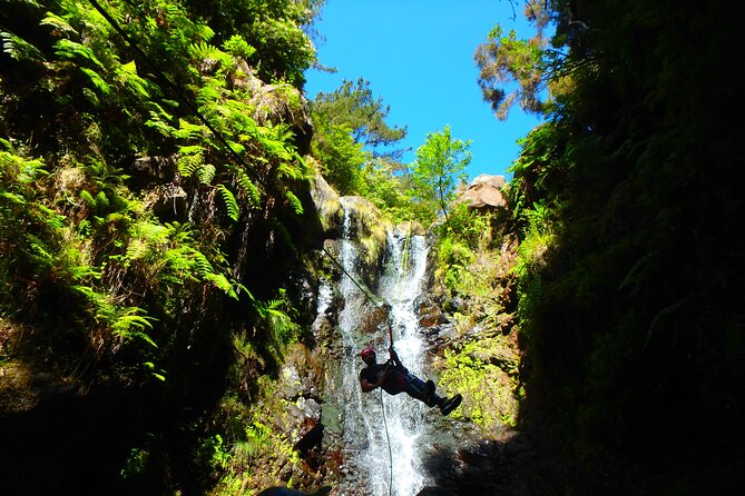 Canyoning Madeira Island - Level One - Who should book Level One canyoning on Madeira