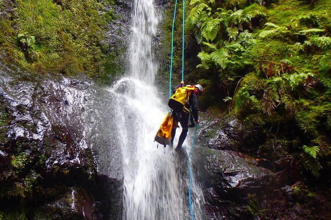 Canyoning Madeira Island - Level Two - The Level Two Reality Check: Moderate Fitness, Real Fun