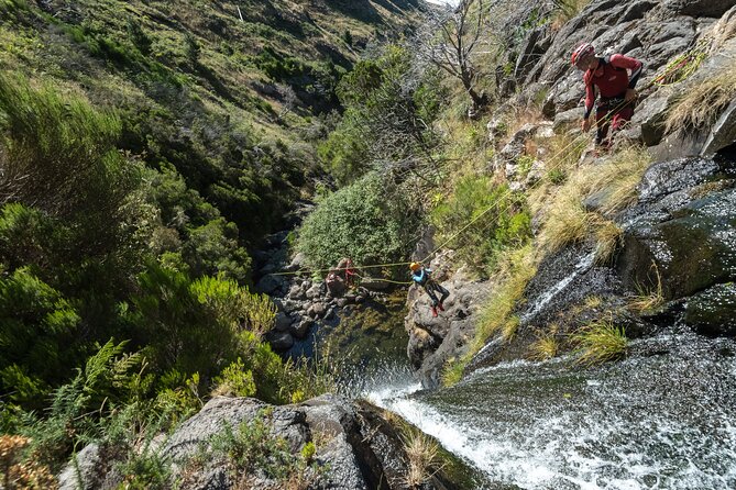 Canyoning Madeira - Private Tour - best experience for beginners - Native Forest Nature, Not Just a Technical Activity