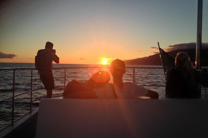 Catamaran Sunset Cruise from Funchal - Sunset Cruise From Funchal: Why This Catamaran Experience Works