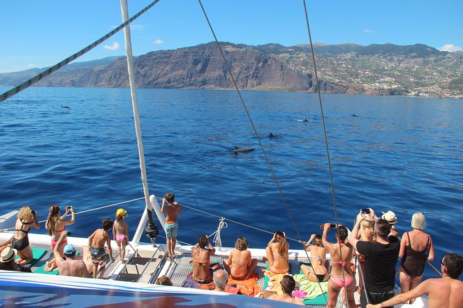Catamaran Sunset Cruise from Funchal - Price and Value: Is $48.27 a Good Deal?