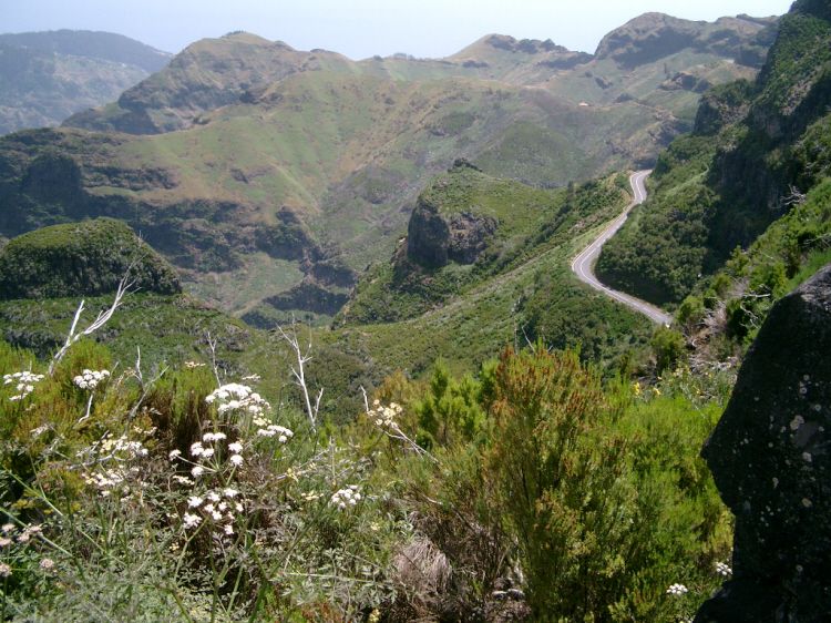 Discover Madeira: Full-Day Tour to Porto Moniz - Price and value: is $46 for this Madeira day worth it?