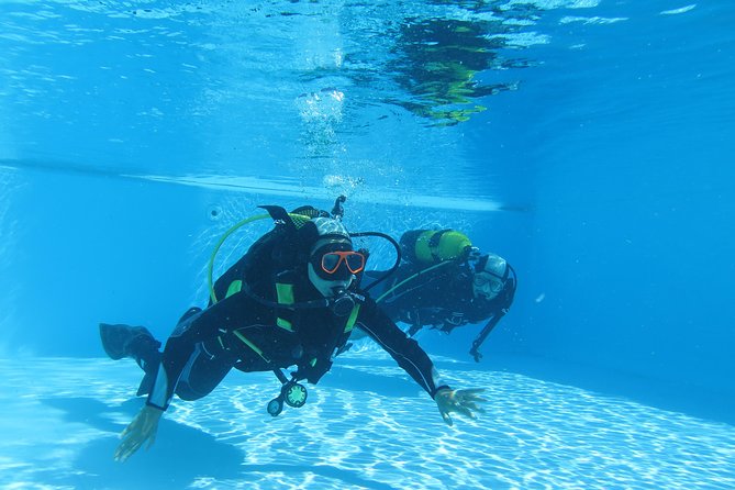 Discover Scuba Diving or Try dive - Madeira Scuba Tryout, From Caniçal Near Funchal