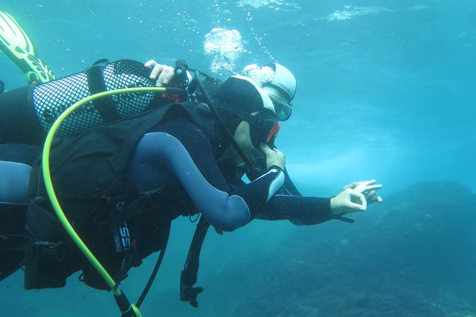 Discover Scuba Diving or Try dive - Where This Works Best: First-Timers, Curious Swimmers, and Short Schedules