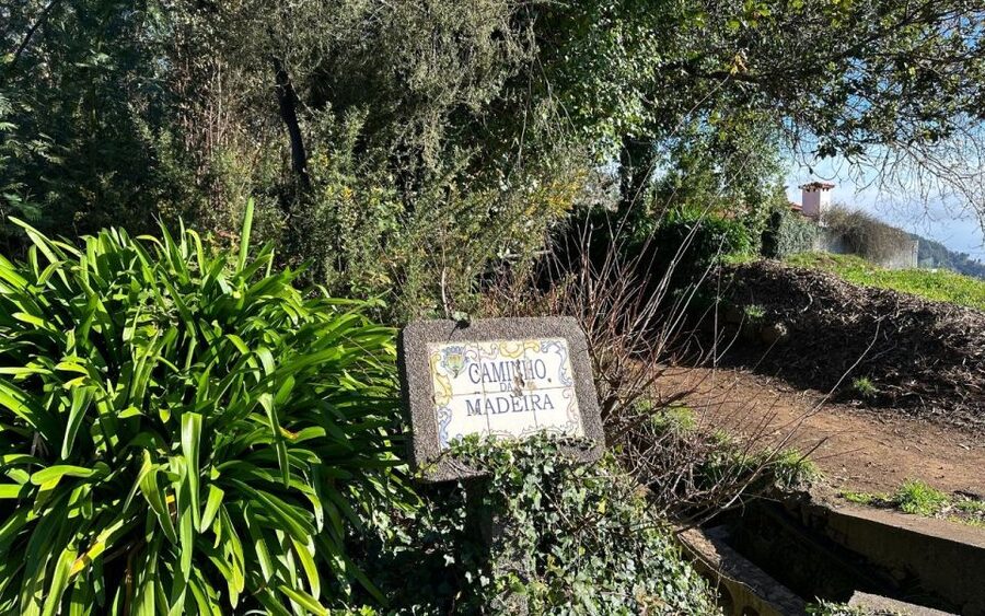 Discover the Paradise Valley - a quick escape for Everyone - The Walk Itself: 5,5 km Through Laurissilva, With Real Views