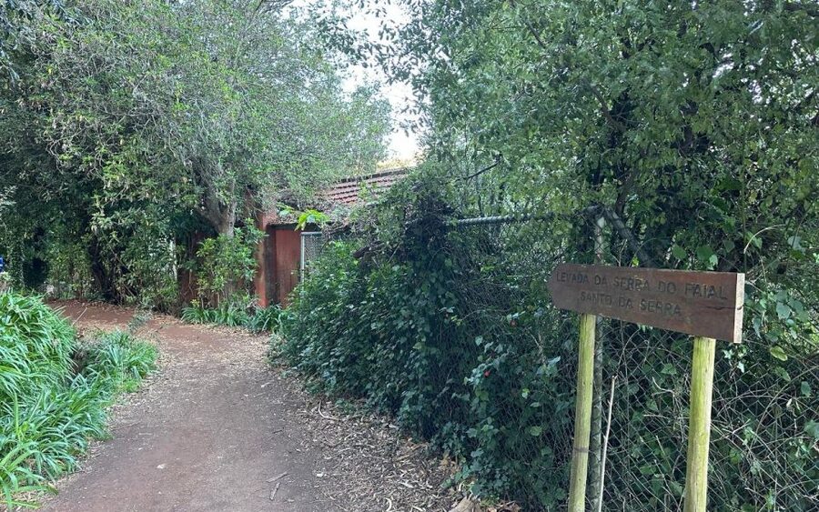 Discover the Paradise Valley - a quick escape for Everyone - Who This Tour Is Best For (And Who Might Want Something Else)