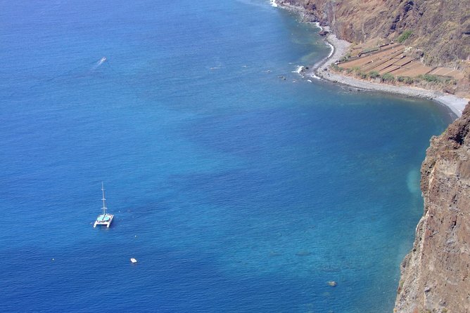 Dolphin and Whale Watching Catamaran Cruise from Funchal - Best time for this cruise, and how to pack like a pro