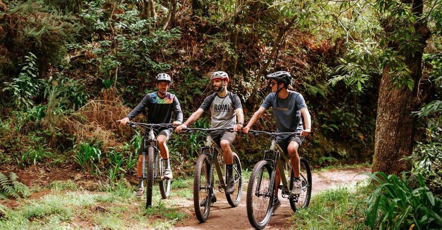 E-Bike Guided Tour - Mountain biking experience - Key Things You’ll Notice on This Madeira E-Bike Tour