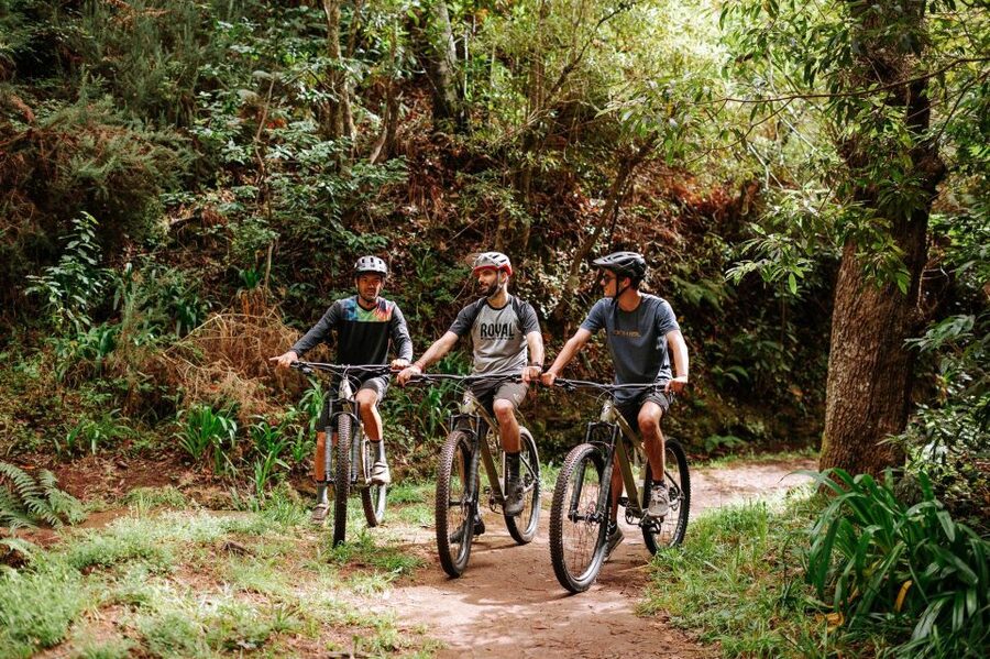 E-Bike Guided Tour - Mountain biking experience - Camacha Levada Riding: The Part You Actually Came For