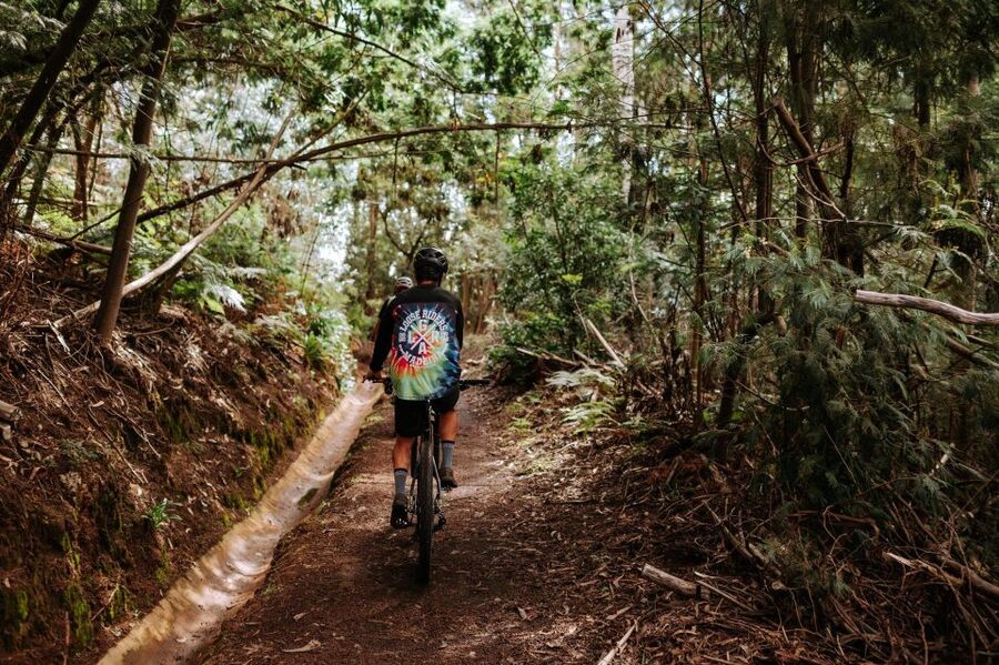 E-Bike Guided Tour - West Side Mountain Biking - Calheta and the Main Bike Phase: Where Time Feels Like It Flies
