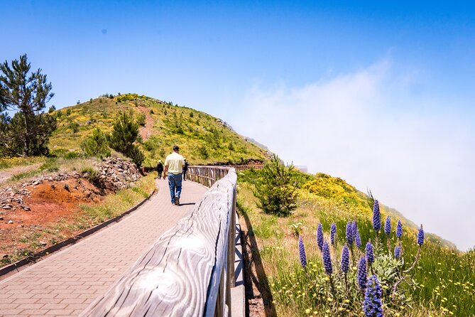 East of Madeira | Full Day 4x4 Tour - Santana A-frame houses and the off-road feel you came for