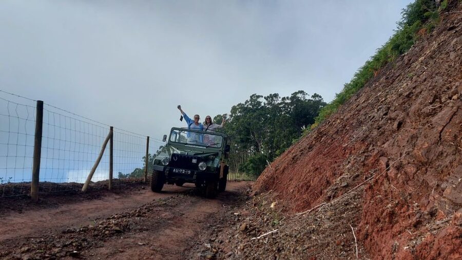 East Tour: Classic jeep tour to East Madeira - Santana - A classic jeep in East Madeira is the real point
