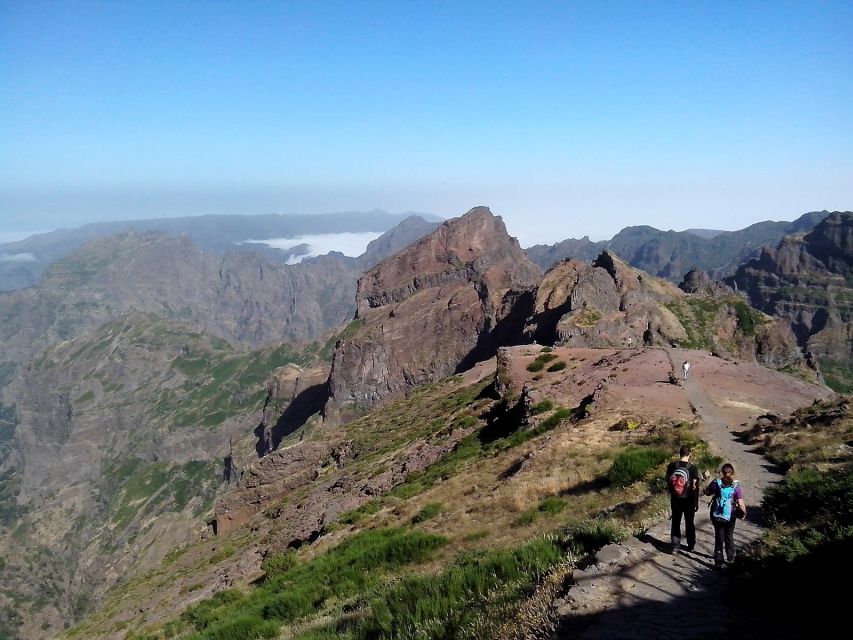 Eastern Madeira: Full-Day Tour with Rum Tasting - Morning Pickup: Expect Multiple Stops and a High-Elevation Start