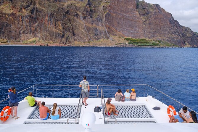 Eco-Friendly Catamaran Dolphin and Whale Watching - Land Spotters, Live Commentary, and Why You’ll Know What You’re Looking At