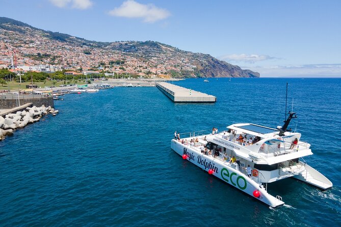 Eco-Friendly Catamaran Dolphin and Whale Watching - From Funchal Marina Out to the Whale and Dolphin Search