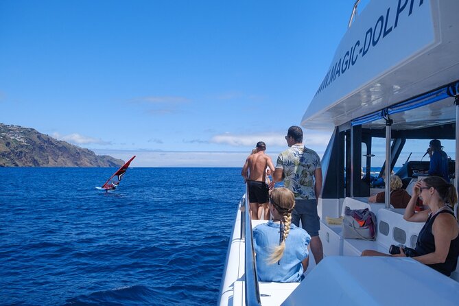 Eco-Friendly Catamaran Dolphin and Whale Watching - The Eco Catamaran Setup, Comfort, and What Onboard Feels Like
