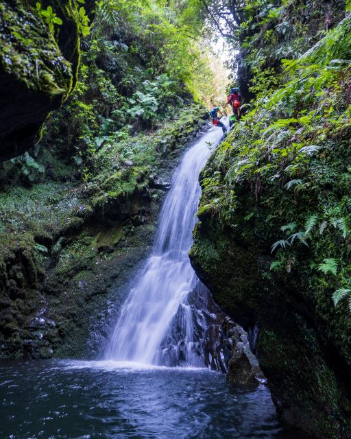 EPIC Madeira Canyoning Level Two - Getting to the secret stop from Funchal Cable Car, and why it matters