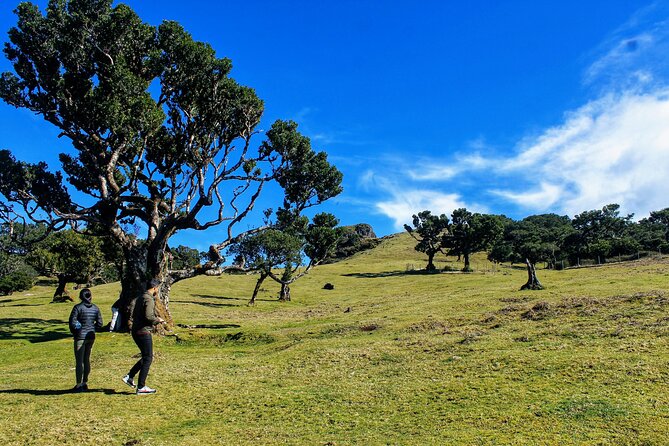 Exploring new Northwest frontiers: Beyond Madeira in 4x4 tour - Véu da Noiva waterfall and São Vicente: a valley break after the coast