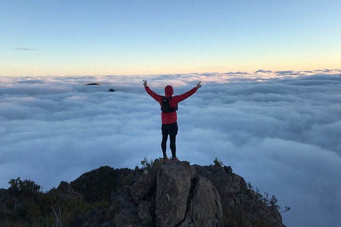 Fanal Forest Private Sunset Hike - Why a Private Fanal Forest Sunset Hike Feels So Special