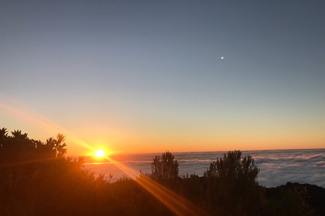 Fanal Forest Private Sunset Hike - Meet Paulo and the Certified Mountain Guide Role
