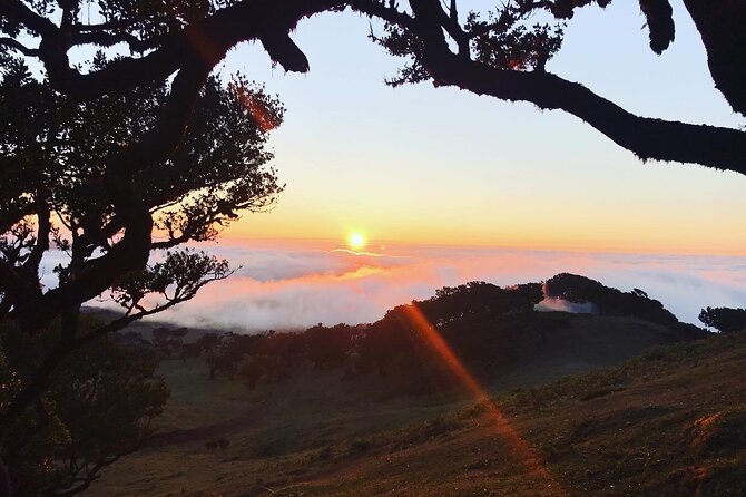 Fanal Forest Private Sunset Hike - The 7 km, Mostly-Flat Walk Through Fanal