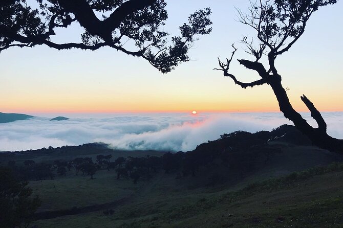 Fanal Forest Private Sunset Hike - Sunset Time: How Weather Affects the Plan (and What You Can Do)