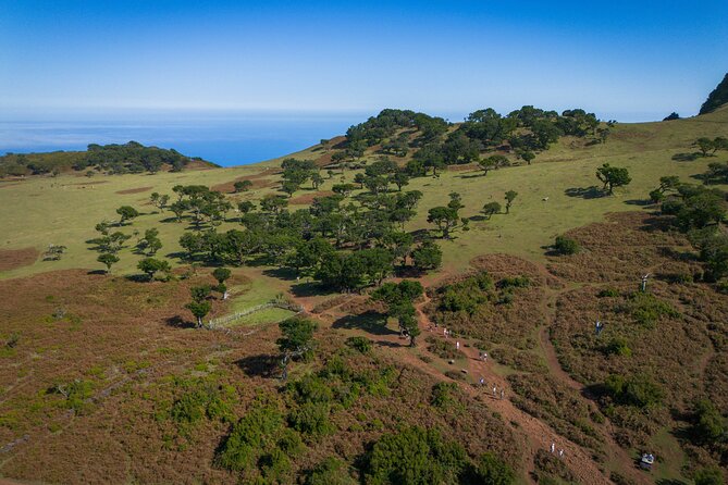 Fanal & Porto Moniz - West Madeira Tour - Paul da Serra Plateau: The Island’s Big-Altitude Nature Moment