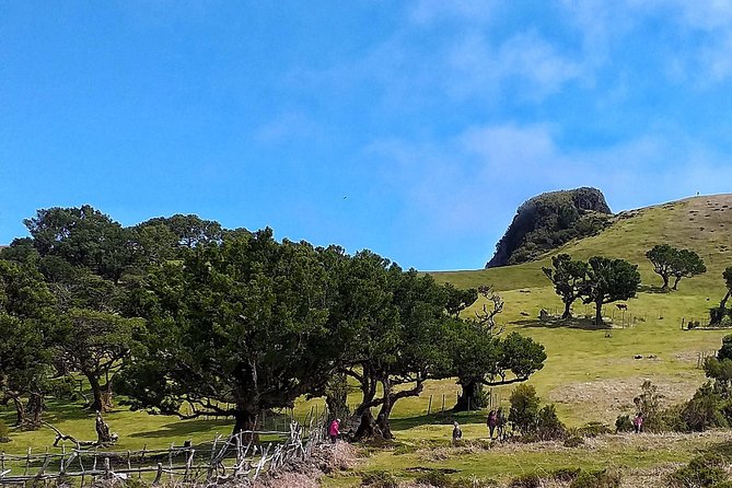 Fascinated Landscapes Northwest 4x4 excursion - Porto Moniz and the volcanic swimming pools: the main payoff