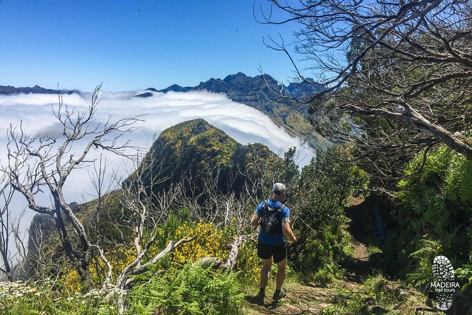 Folhadal Hidden Treasures Running Tour (Moderate) - Why This Laurissilva Running Tour Feels Different in Madeira