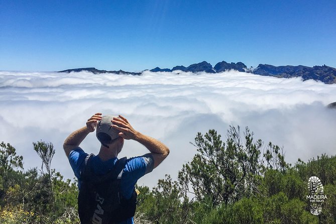 Folhadal Hidden Treasures Running Tour (Moderate) - The Last 3 km Downward: Recover While Enjoying the Scenery