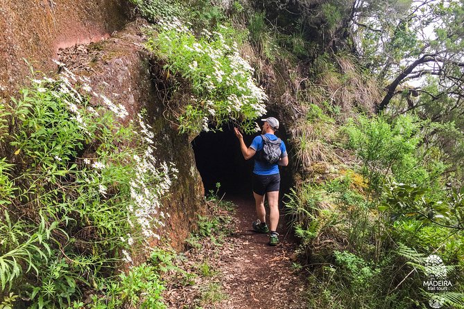 Folhadal Hidden Treasures Running Tour (Moderate) - Fitness and Safety: Who This Tour Fits Best