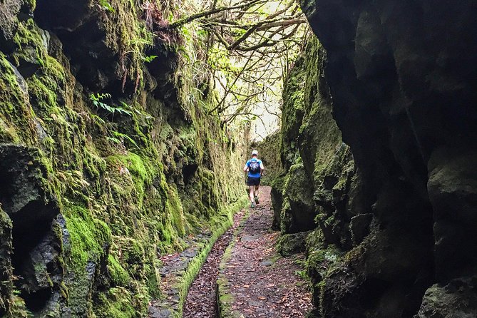 Folhadal Hidden Treasures Running Tour (Moderate) - The Route Breakdown: From Levada Flat Running to Tunnel Time