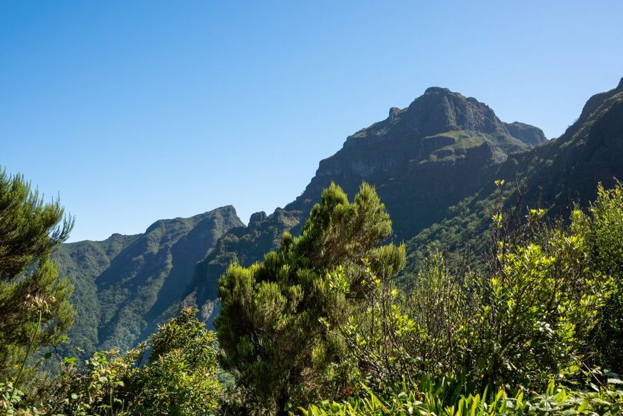 From Funchal: Best of Madeira's West Tour - Pace, Weather, and What to Pack for an 8-Hour Day