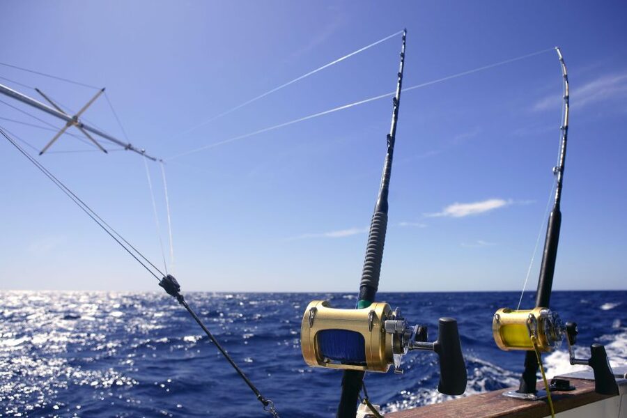 From Funchal : Big Game Fishing boat trip - Price and Value: Is $199 Per Person Worth It?