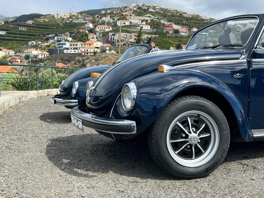 From Funchal: Cabo Girão & Poncha Tasting by Classic VW - Cabo Girão’s glass skywalk: Madeira’s sea cliff drama without a full day commitment