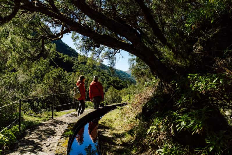 From Funchal/Caniço: Rabaçal Hike (25 Fontes) Bus Transfer - Car-free 25 Fontes hiking: why this transfer works