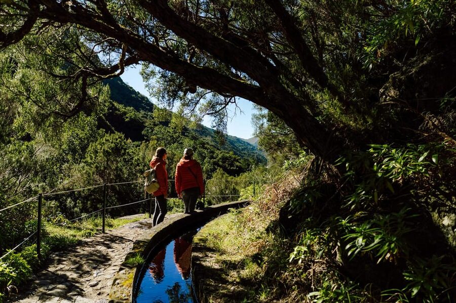 From Funchal/Caniço: Rabaçal Hike (25 Fontes) Bus Transfer - What could go wrong, and how to avoid it