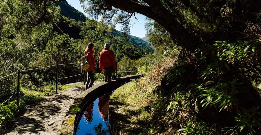 From Funchal/Caniço: Rabaçal Hike (25 Fontes) Bus Transfer - The transfer ride to Rabaçal: 1 hour each way, built for the hike