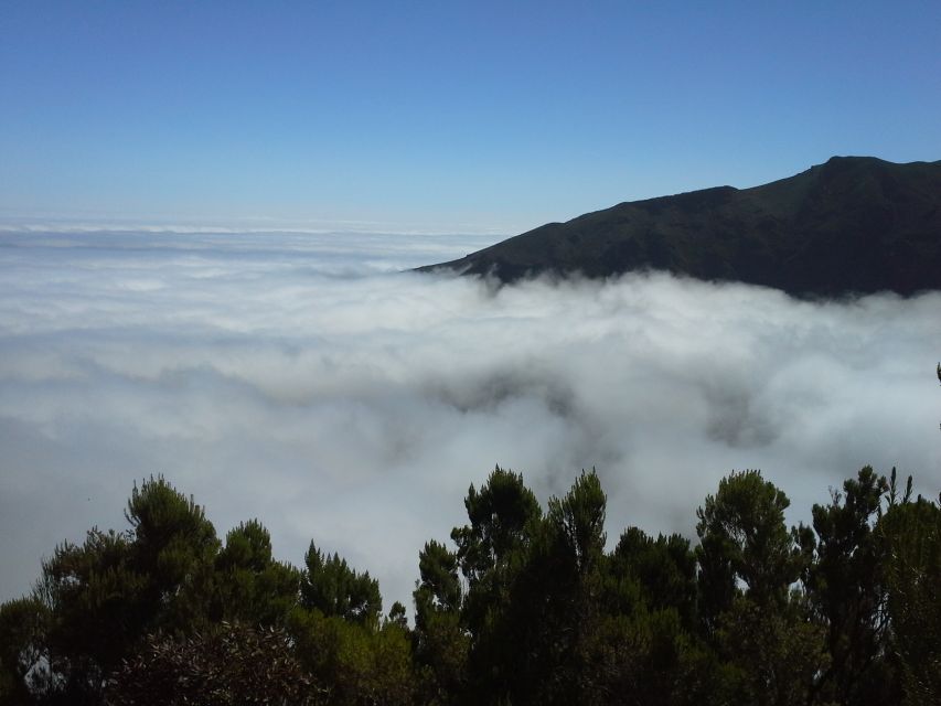 From Funchal: East Tour Madeira 4x4 Jipe Tour Santana Houses - Santana triangular houses: Madeiran architecture you can walk through