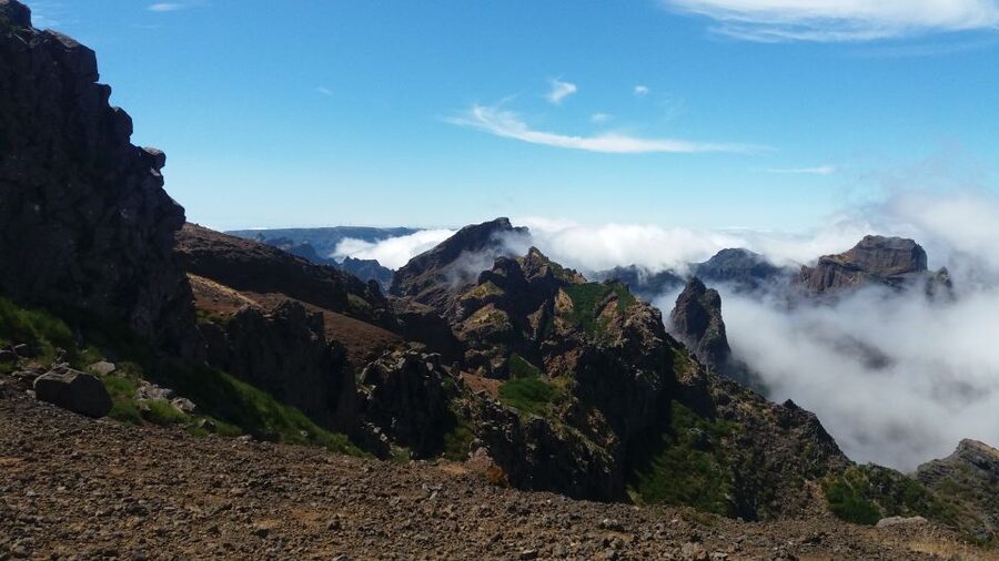From Funchal: East Tour Madeira 4x4 Jipe Tour Santana Houses - Pickup, timing, and how to plan around 8 hours